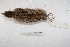  ( - MACN-Or-ct 3307)  @11 [ ] Copyright (2014) MACN Museo Argentino de Ciencias Naturales, Bernardino Rivadavia