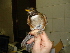  ( - MACN-Or-ct 3502)  @13 [ ] Copyright (2014) MACN Museo Argentino de Ciencias Naturales, Bernardino Rivadavia