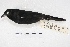  ( - MACN-Or-ct 4837)  @13 [ ] Copyright (2015) MACN Museo Argentino de Ciencias Naturales, Bernardino Rivadavia