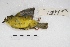  ( - MACN-Or-ct 5623)  @12 [ ] Copyright (2015) MACN Museo Argentino de Ciencias Naturales, Bernardino Rivadavia