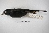  ( - MACN-Or-ct 5717)  @13 [ ] Copyright (2015) MACN Museo Argentino de Ciencias Naturales, Bernardino Rivadavia