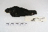  ( - MACN-Or-ct 5113)  @13 [ ] Copyright (2014) MACN Museo Argentino de Ciencias Naturales, Bernardino Rivadavia