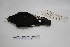  ( - MACN-Or-ct 5277)  @12 [ ] Copyright (2013) MACN Museo Argentino de Ciencias Naturales, Bernardino Rivadavia