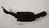  ( - MACN-Or-ct 6432)  @11 [ ] Copyright (2016) MACN Museo Argentino de Ciencias Naturales (Bernardino Rivadavia)