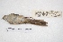  ( - MACN-Or-ct 7860)  @11 [ ] Copyright (2015) MACN Museo Argentino de Ciencias Naturales, Bernardino Rivadavia