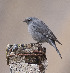  ( - KU17527)  @11 [ ] by-nc-sa  Unspecified Unspecified