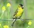  ( - MACN-Or-ct_687)  @11 [ ] by-sa  Unspecified Unknown