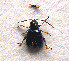  ( - 14D)  @11 [ ] Unspecified (default): All Rights Reserved  Unspecified Unspecified