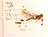  ( - UMMZI-MOS0026985)  @11 [ ] c (2021) Jose Andres Cornell Univeristy- Department of Ecology and Evolutionary Biology