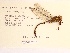  ( - UMMZI-MOS0029402)  @11 [ ] c (2021) Jose Andres Cornell Univeristy- Department of Ecology and Evolutionary Biology