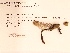  ( - UMMZI-MOS0029923)  @11 [ ] c (2021) Jose Andres Cornell Univeristy- Department of Ecology and Evolutionary Biology