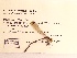  ( - UMMZI-MOS0030163)  @11 [ ] c (2021) Jose Andres Cornell Univeristy- Department of Ecology and Evolutionary Biology