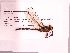  ( - UMMZI-MOS0031864)  @11 [ ] c (2021) Jose Andres Cornell Univeristy- Department of Ecology and Evolutionary Biology
