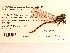  ( - UMMZI-MOS0036997)  @11 [ ] c (2021) Jose Andres Cornell Univeristy- Department of Ecology and Evolutionary Biology