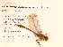  ( - UMMZI-UMMZI-00210905)  @11 [ ] c (2021) Jose Andres Cornell Univeristy- Department of Ecology and Evolutionary Biology