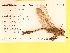  ( - UMMZI-UMMZI-00210906)  @11 [ ] c (2021) Jose Andres Cornell Univeristy- Department of Ecology and Evolutionary Biology