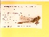  ( - UMMZI-UMMZI-00210907)  @11 [ ] c (2021) Jose Andres Cornell Univeristy- Department of Ecology and Evolutionary Biology