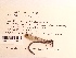  ( - UMMZI-UMMZI-00272430)  @11 [ ] c (2021) Jose Andres Cornell Univeristy- Department of Ecology and Evolutionary Biology