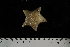  ( - JR275_658)  @13 [ ] CreativeCommons - Attribution Non-Commercial Share-Alike (2012) Huw Griffiths British Antarctic Survey