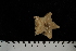  ( - JR275_658)  @13 [ ] CreativeCommons - Attribution Non-Commercial Share-Alike (2012) Huw Griffiths British Antarctic Survey