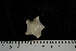  ( - JR275_1312.1)  @13 [ ] CreativeCommons - Attribution Non-Commercial Share-Alike (2012) Huw Griffiths British Antarctic Survey