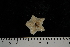  ( - JR275_1312.1)  @13 [ ] CreativeCommons - Attribution Non-Commercial Share-Alike (2012) Huw Griffiths British Antarctic Survey