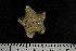  ( - JR275_708.2)  @13 [ ] CreativeCommons - Attribution Non-Commercial Share-Alike (2012) Huw Griffiths British Antarctic Survey