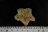  ( - JR275_708.2)  @13 [ ] CreativeCommons - Attribution Non-Commercial Share-Alike (2012) Huw Griffiths British Antarctic Survey