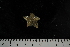  ( - JR275_708.3)  @13 [ ] CreativeCommons - Attribution Non-Commercial Share-Alike (2012) Huw Griffiths British Antarctic Survey