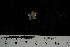  ( - JR275_10.4)  @12 [ ] CreativeCommons - Attribution Non-Commercial Share-Alike (2012) Huw Griffiths British Antarctic Survey