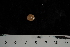  ( - JR275_10.7)  @12 [ ] CreativeCommons - Attribution Non-Commercial Share-Alike (2012) Huw Griffiths British Antarctic Survey