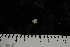  ( - JR275_1075.4)  @13 [ ] CreativeCommons - Attribution Non-Commercial Share-Alike (2012) Huw Griffiths British Antarctic Survey