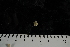  ( - JR275_1075.4)  @13 [ ] CreativeCommons - Attribution Non-Commercial Share-Alike (2012) Huw Griffiths British Antarctic Survey