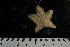  ( - JR275_172.8)  @13 [ ] CreativeCommons - Attribution Non-Commercial Share-Alike (2012) Huw Griffiths British Antarctic Survey