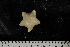  ( - JR275_913.2)  @13 [ ] CreativeCommons - Attribution Non-Commercial Share-Alike (2012) Huw Griffiths British Antarctic Survey