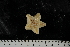  ( - JR275_913.2)  @13 [ ] CreativeCommons - Attribution Non-Commercial Share-Alike (2012) Huw Griffiths British Antarctic Survey