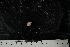  ( - JR275_1240.14)  @12 [ ] CreativeCommons - Attribution Non-Commercial Share-Alike (2012) Huw Griffiths British Antarctic Survey