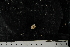  ( - JR275_1240.14)  @13 [ ] CreativeCommons - Attribution Non-Commercial Share-Alike (2012) Huw Griffiths British Antarctic Survey