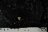  ( - JR275_1240.16)  @12 [ ] CreativeCommons - Attribution Non-Commercial Share-Alike (2012) Huw Griffiths British Antarctic Survey