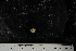  ( - JR275_1240.16)  @12 [ ] CreativeCommons - Attribution Non-Commercial Share-Alike (2012) Huw Griffiths British Antarctic Survey