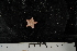  ( - JR275_1361.3)  @12 [ ] CreativeCommons - Attribution Non-Commercial Share-Alike (2012) Huw Griffiths British Antarctic Survey