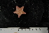  ( - JR275_1361.4)  @12 [ ] CreativeCommons - Attribution Non-Commercial Share-Alike (2012) Huw Griffiths British Antarctic Survey