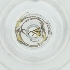  ( - BAYS_004_D8)  @11 [ ] by  Genome Research Ltd as Wellcome Sanger Institute Genome Research Limited operating as Wellcome Sanger Institute