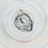  ( - BAYS_004_H10)  @11 [ ] by  Genome Research Ltd as Wellcome Sanger Institute Genome Research Limited operating as Wellcome Sanger Institute
