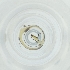  ( - BAYS_005_G1)  @11 [ ] by  Genome Research Ltd as Wellcome Sanger Institute Genome Research Limited operating as Wellcome Sanger Institute
