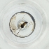  ( - BAYS_006_G6)  @11 [ ] by  Genome Research Ltd as Wellcome Sanger Institute Genome Research Limited operating as Wellcome Sanger Institute