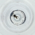  ( - BAYS_007_A12)  @11 [ ] by  Genome Research Ltd as Wellcome Sanger Institute Genome Research Limited operating as Wellcome Sanger Institute