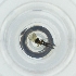  ( - BAYS_007_F5)  @11 [ ] by  Genome Research Ltd as Wellcome Sanger Institute Genome Research Limited operating as Wellcome Sanger Institute