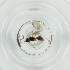  ( - BAYS_007_G5)  @11 [ ] by  Genome Research Ltd as Wellcome Sanger Institute Genome Research Limited operating as Wellcome Sanger Institute