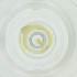  ( - BAYS_009_A8)  @11 [ ] by  Genome Research Ltd as Wellcome Sanger Institute Genome Research Limited operating as Wellcome Sanger Institute